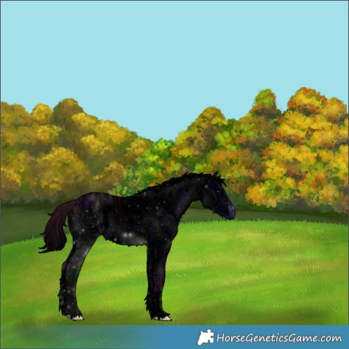 Horse Color:ERROR: UNKNOWN ANOMALY