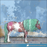 Horse Color:Painted White Spotted Silver Grullo Appaloosa 
