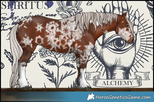 Horse Color:White Spotted Silver Bay Ice 