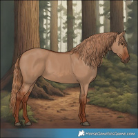 Horse Color:Red Dun 
