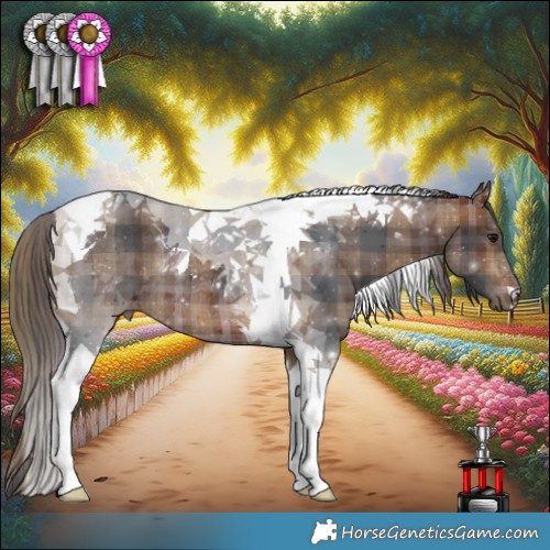 Horse Color:Plaid  Bay Tobiano Rabicano 