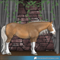 Horse Color:Silver Buckskin Splash