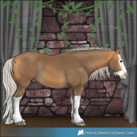 Horse Color:Silver Buckskin Splash 