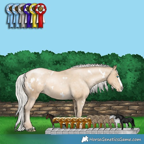 Horse Color:White Spotted Silver Smoky Black Pearl Splash Appaloosa 