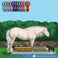 Horse Color:White Spotted Silver Smoky Black Pearl Splash Appaloosa 