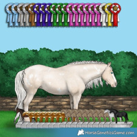 Horse Color:White Spotted Silver Smoky Black Pearl Splash Appaloosa 