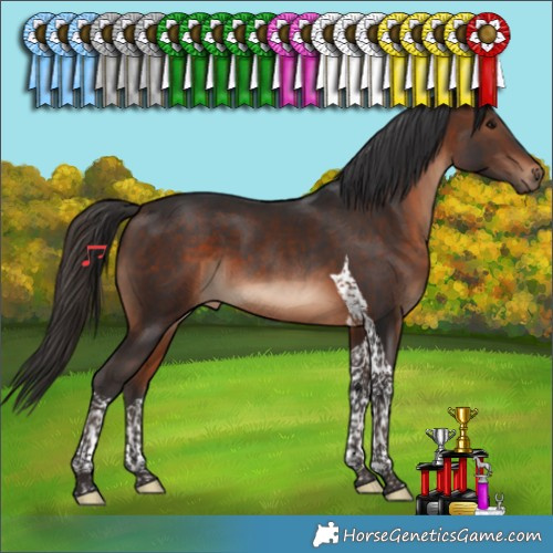 Horse Color:Brown Tobiano 