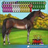 Horse Color:Brown Tobiano 