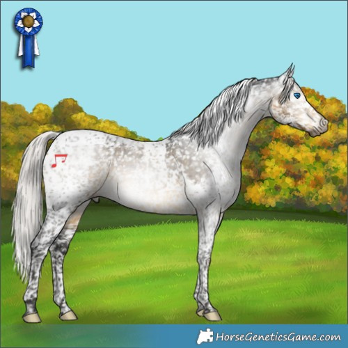 Horse Color:Gray Silver Buckskin Splash Tobiano Appaloosa 