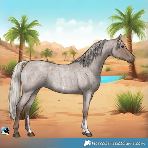 Horse Color:Silver Blue Roan Sabino 