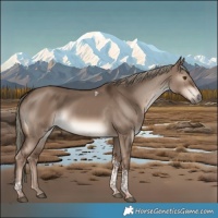 Horse Color:Liver Red Dun Mushroom Tobiano 