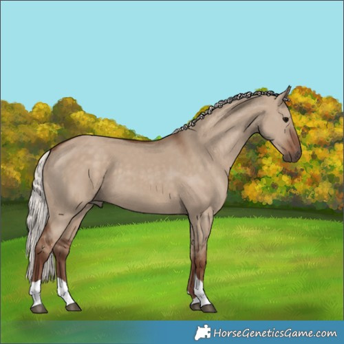 Horse Color:Silver Grullo Tobiano 