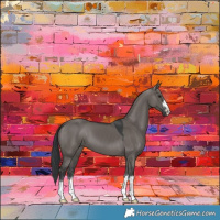 Horse Color:Grullo 