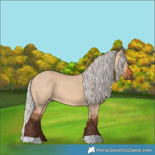 Horse Color:Silver Bay Dun 