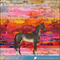 Horse Color:Buckskin 