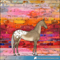 Horse Color:Silver Buckskin Dun Varnish