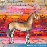 Horse Color:Buckskin Onyx Rabicano 