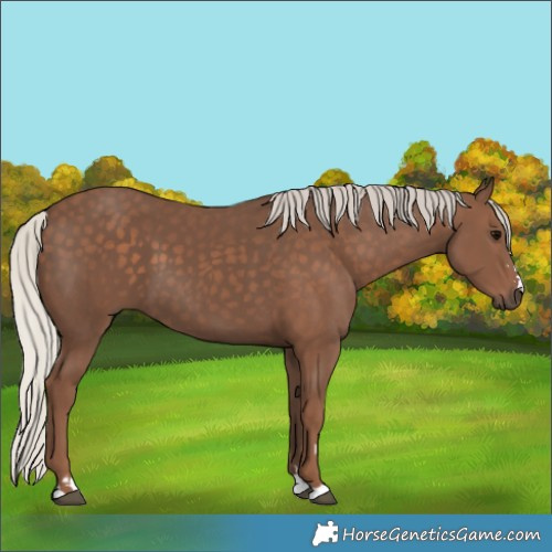 Horse Color:Silver Black 