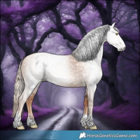 Horse Color:Gray Gold Champagne Tobiano