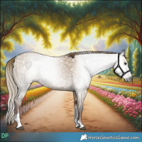 Horse Color:Gray Liver Red Dun Tobiano 