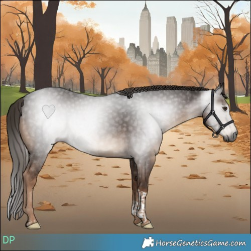 Horse Color:Gray Liver Chestnut Tobiano