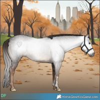 Horse Color:Gray Liver Chestnut Tobiano