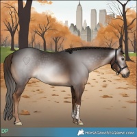 Horse Color:Gray Liver Chestnut Tobiano