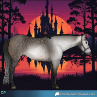 Horse Color:Gray Brown Dun 