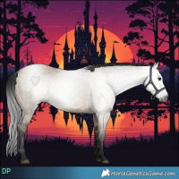 Horse Color:Gray Brown Dun 