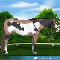 Horse Color:Black Frame and Classic Champagne Frame