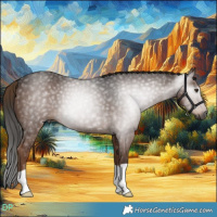 Horse Color:Gray Liver Chestnut 