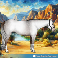 Horse Color:Gray Liver Chestnut 