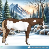 Horse Color:Chocolate Palomino Frame 
