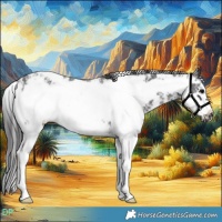 Horse Color:Smoky Black Sabino Frame 