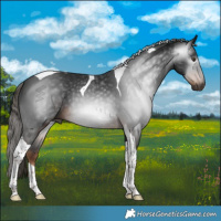 Horse Color:Gray Liver Chestnut Tobiano 