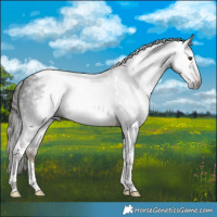 Horse Color:Gray Liver Chestnut Tobiano 