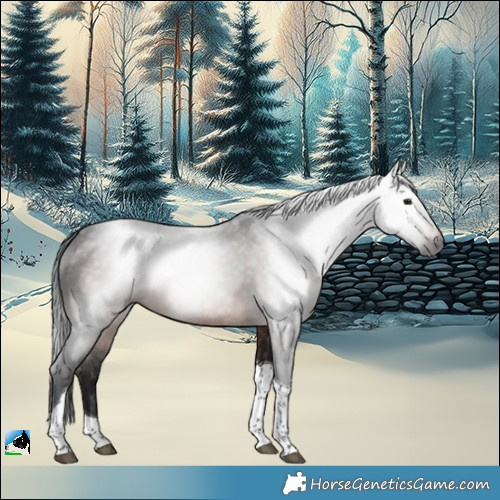 Horse Color:Gray Brown Tobiano 