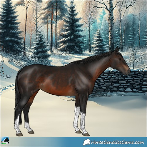 Horse Color:Gray Brown Tobiano 
