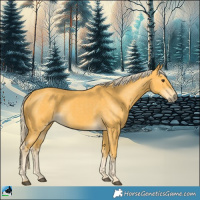 Horse Color:Palomino