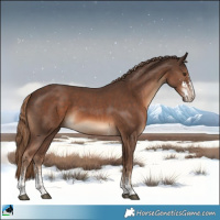 Horse Color:Chestnut Sabino