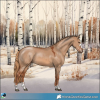 Horse Color:Red Dun 