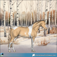 Horse Color:Palomino Dun Sabino Tobiano