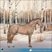 Horse Color:Red Dun Sabino