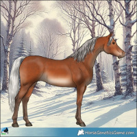 Horse Color:Silver Bay 