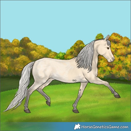Horse Color:Silver Buckskin Ice Dun
