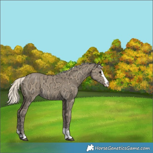 Horse Color:Silver Smoky Grullo Ice 