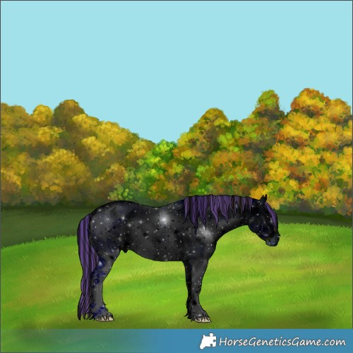 Horse Color:ERROR: UNKNOWN ANOMALY