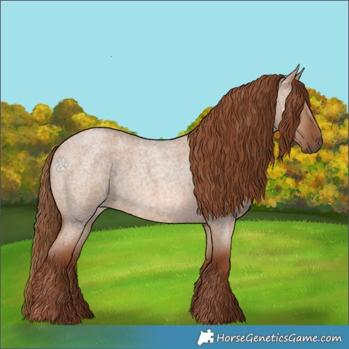 Horse Color:Red Dun Roan 