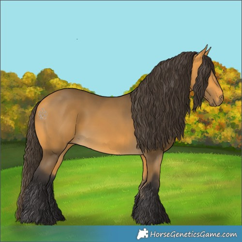 Horse Color:Buckskin 
