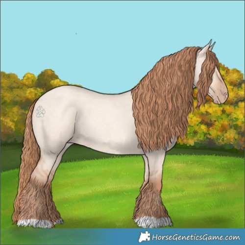 Horse Color:Gold Champagne Roan Dun 